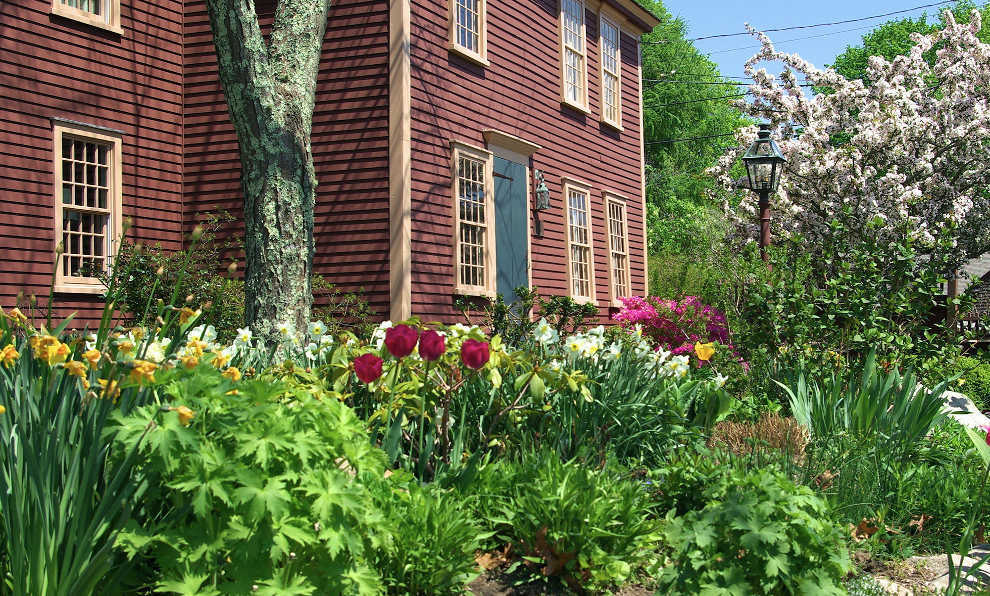 Colonial Home Flower Bed